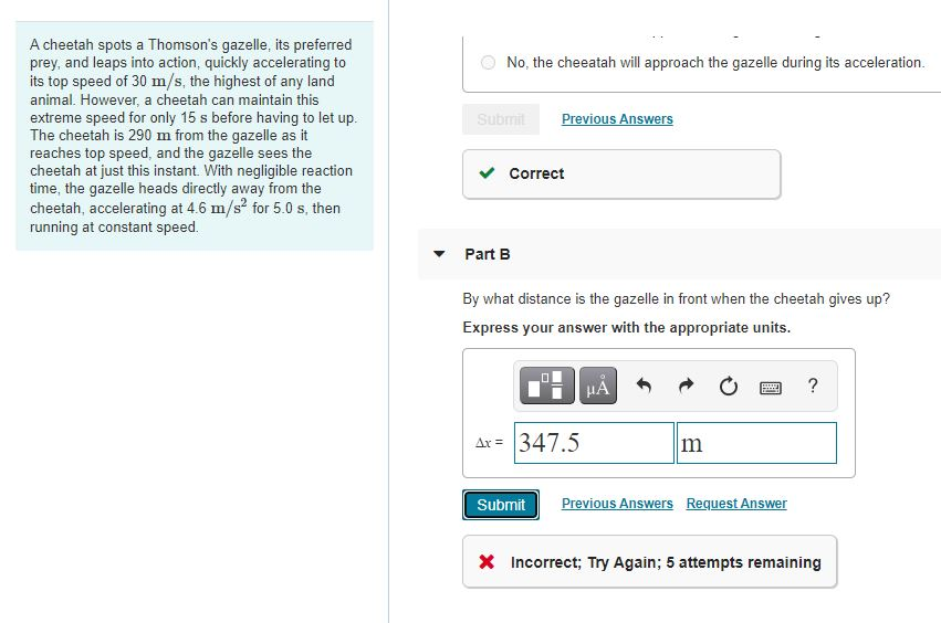 No The Cheeatah Will Approach The Gazelle During Its Chegg No The Cheeatah Will Approach The Gazelle During Its Chegg