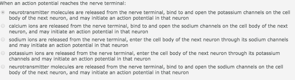 Solved When an action potential reaches the nerve terminal: | Chegg.com