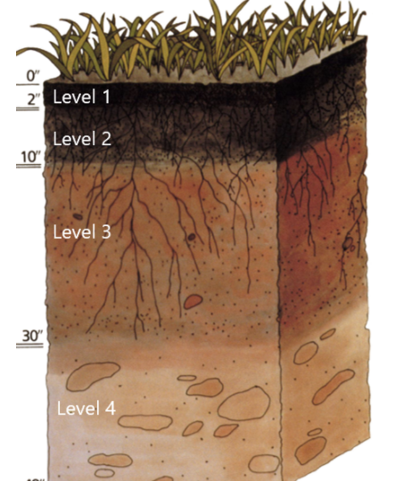 Solved 1. Which of the following is NOT an important soil | Chegg.com