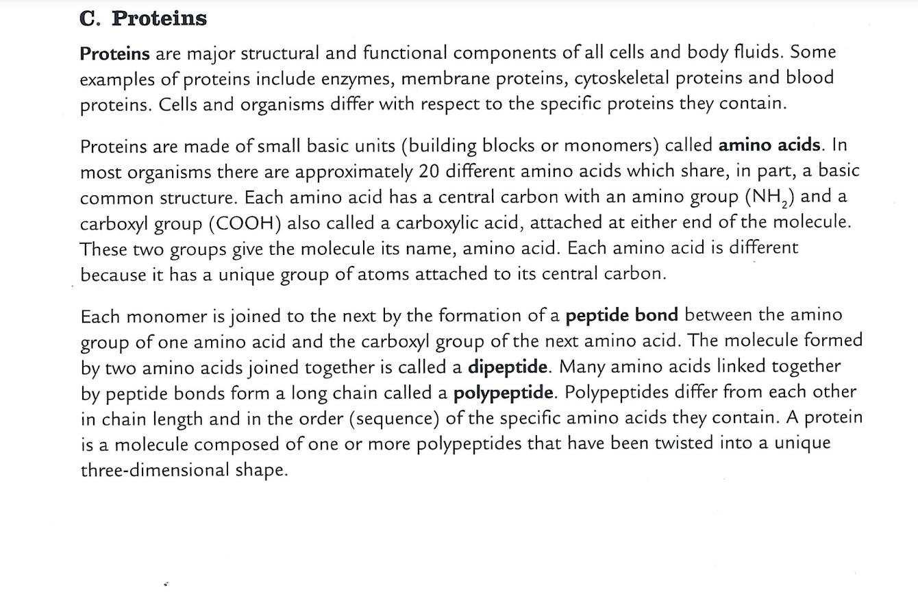 Solved Proteins are major structural and functional