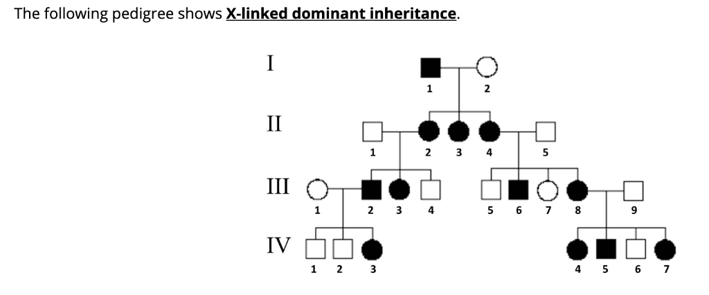 x linked dominant