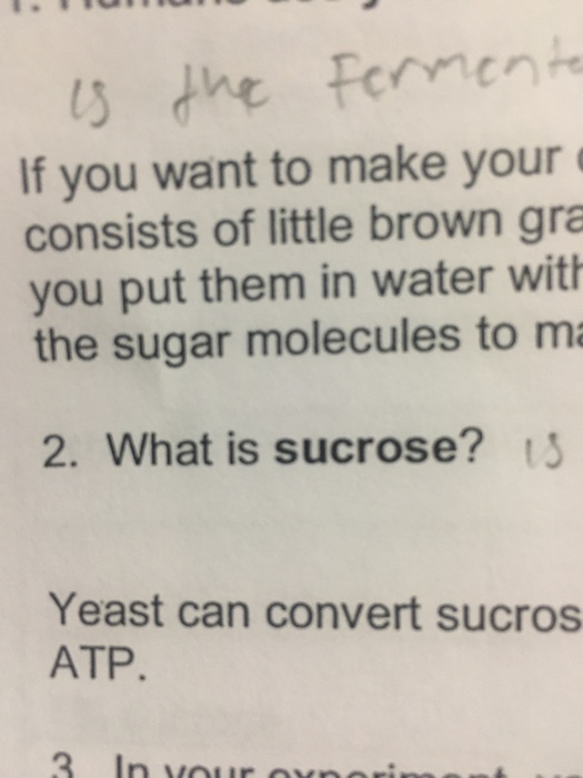 Solved MOLARITY PROBLEM OF THE DAY 2. Calculate the molarity | Chegg.com