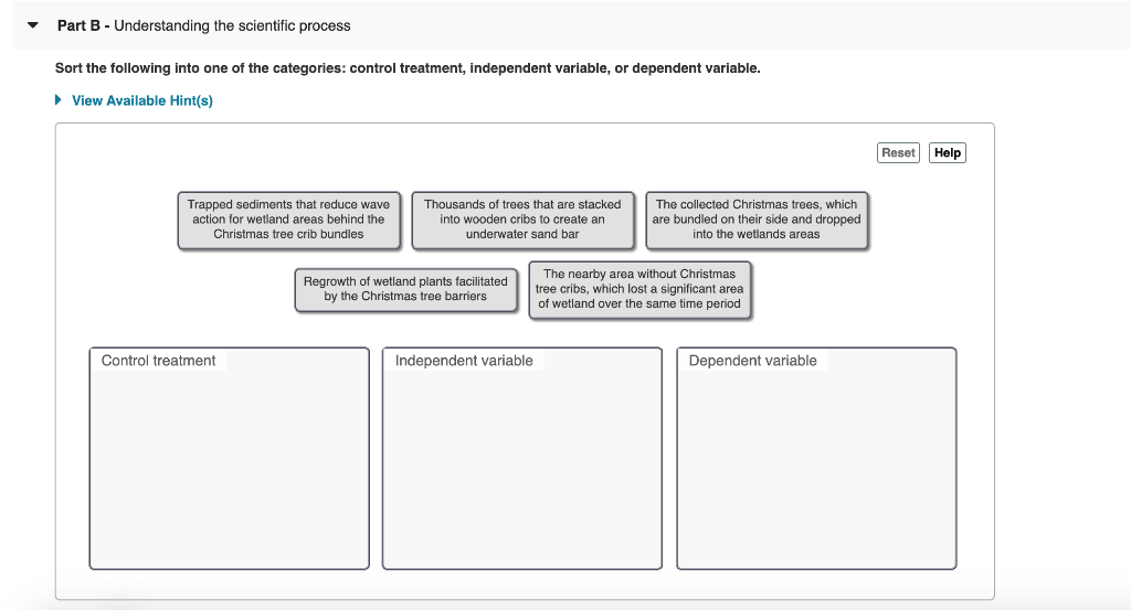 Solved Part B - Understanding The Scientific Process Sort | Chegg.com