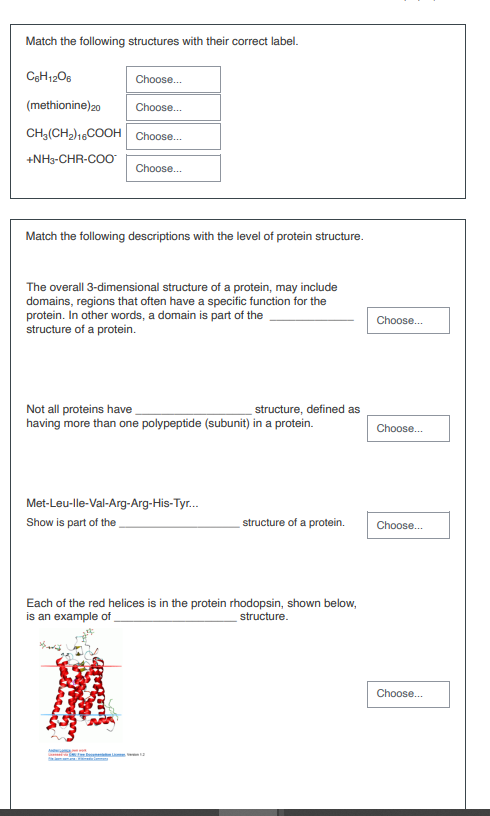Match the following descriptions with the level of | Chegg.com