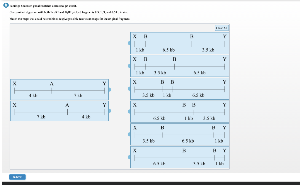 Solved B Scoring: You Must Get All Matches Correct To Get | Chegg.com