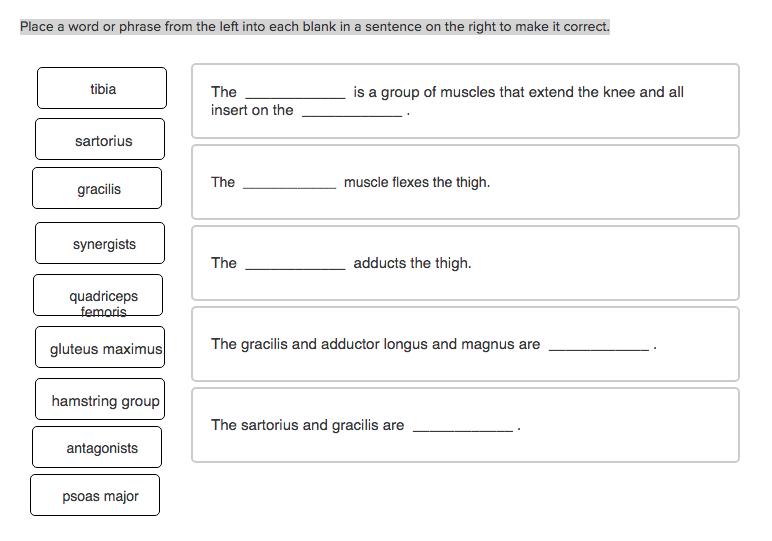Solved Place a word or phrase from the left into each blank