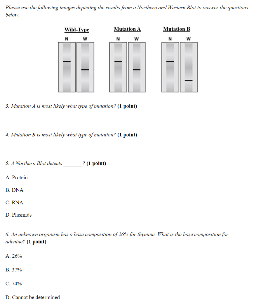 Please use the following images depicting the results from a Northern and Western Blot to answer the questions below.
3. Muta