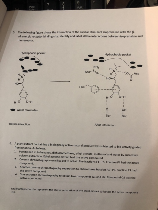 Solved PgUp The following figure shows the interaction of | Chegg.com