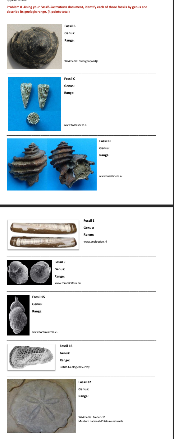 Solved Problem 8 -Using your Fossil Illustrations document, | Chegg.com