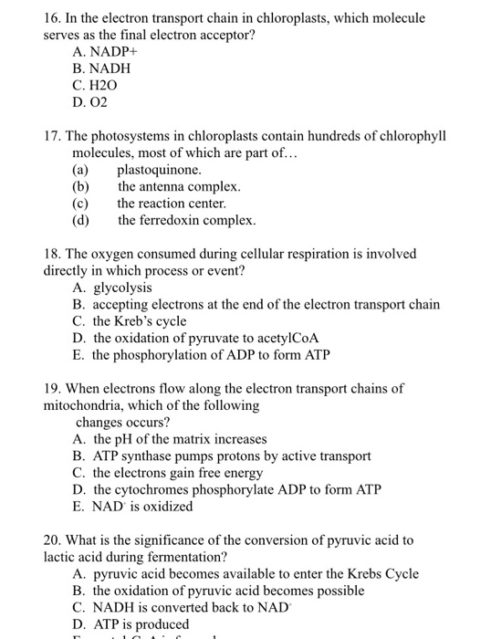 Solved 16. In the electron transport chain in chloroplasts, | Chegg.com