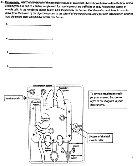 Solved 39. Connectivity. USE THE DIAGRAM of the general | Chegg.com