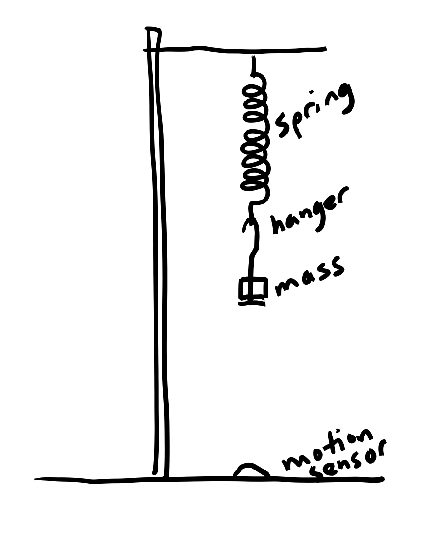 Measuring The Spring Constant Solved Describe a technique you could use to measure the | Chegg.com