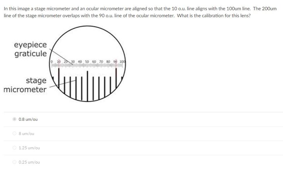 Solved In this image a stage micrometer and an ocular