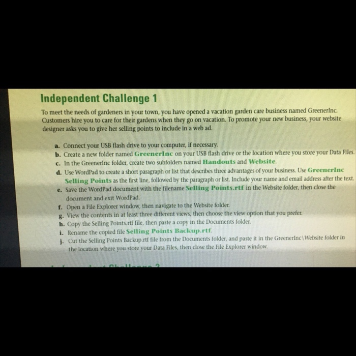 Solved independent challenge 1 to meet the needs of chegg