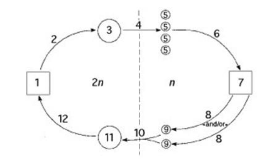 Solved The following question refers to the generalized life | Chegg.com