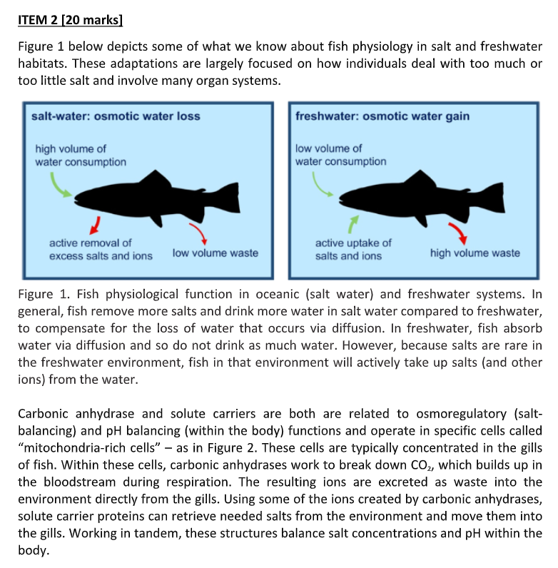 Solved ITEM 2 [20 marks) Figure 1 below depicts some of what | Chegg.com