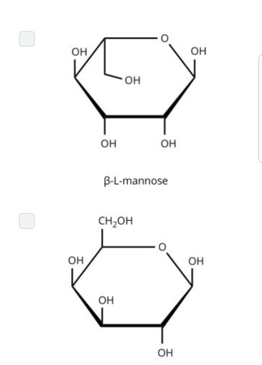 Solved Identify the anomers of L-mannose from the given | Chegg.com