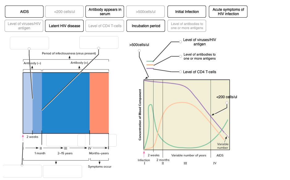 Solved Please label the image to examine the dynamics of