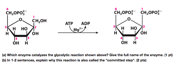 Solved QUESTION 4 HO C H I H-C НО. C- H-C OH CH2OH a) Draw | Chegg.com