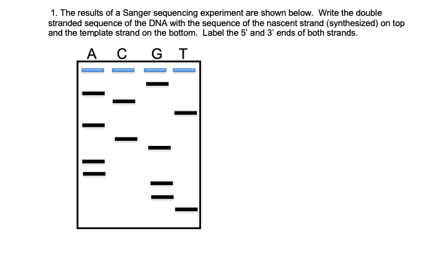 Solved 1. The Results Of A Sanger Sequencing Experiment Are 