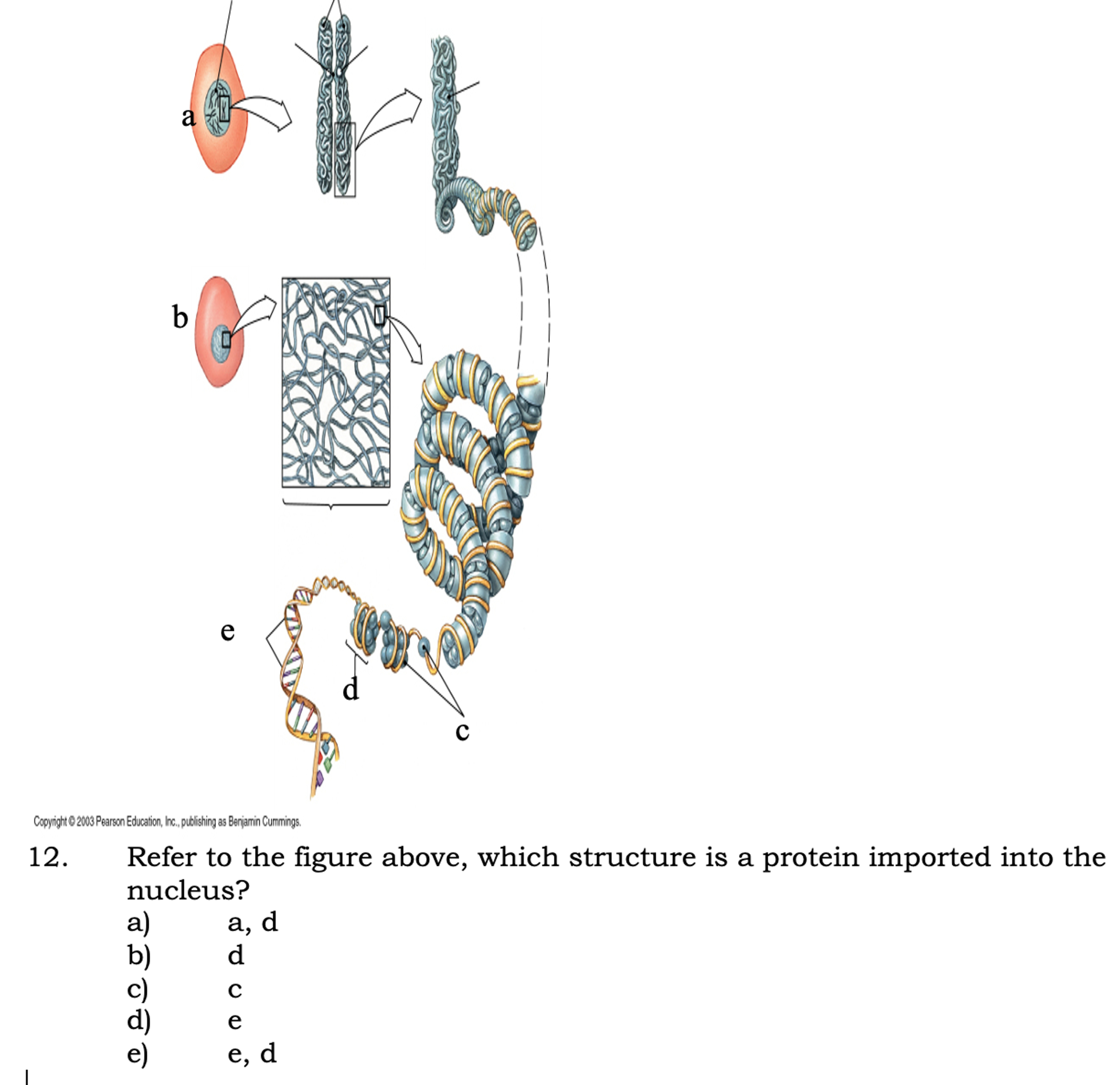 Solved Refer to the figure above, which structure is a | Chegg.com