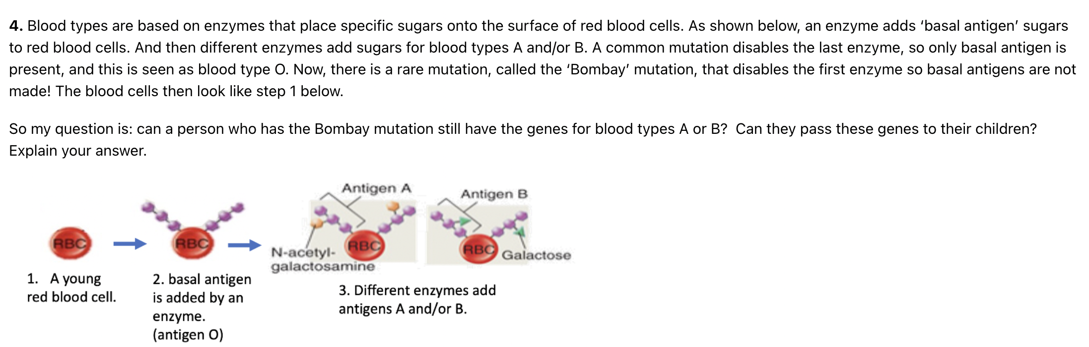 Solved 4. Blood Types Are Based On Enzymes That Place | Chegg.com