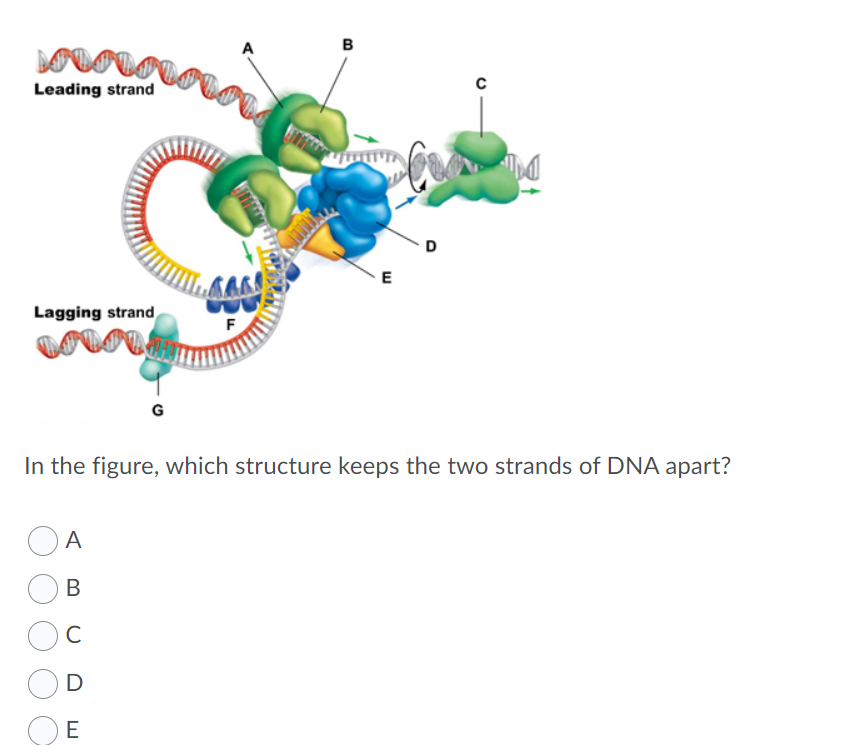Solved This Chegg post's question has two parts,39,40. A | Chegg.com