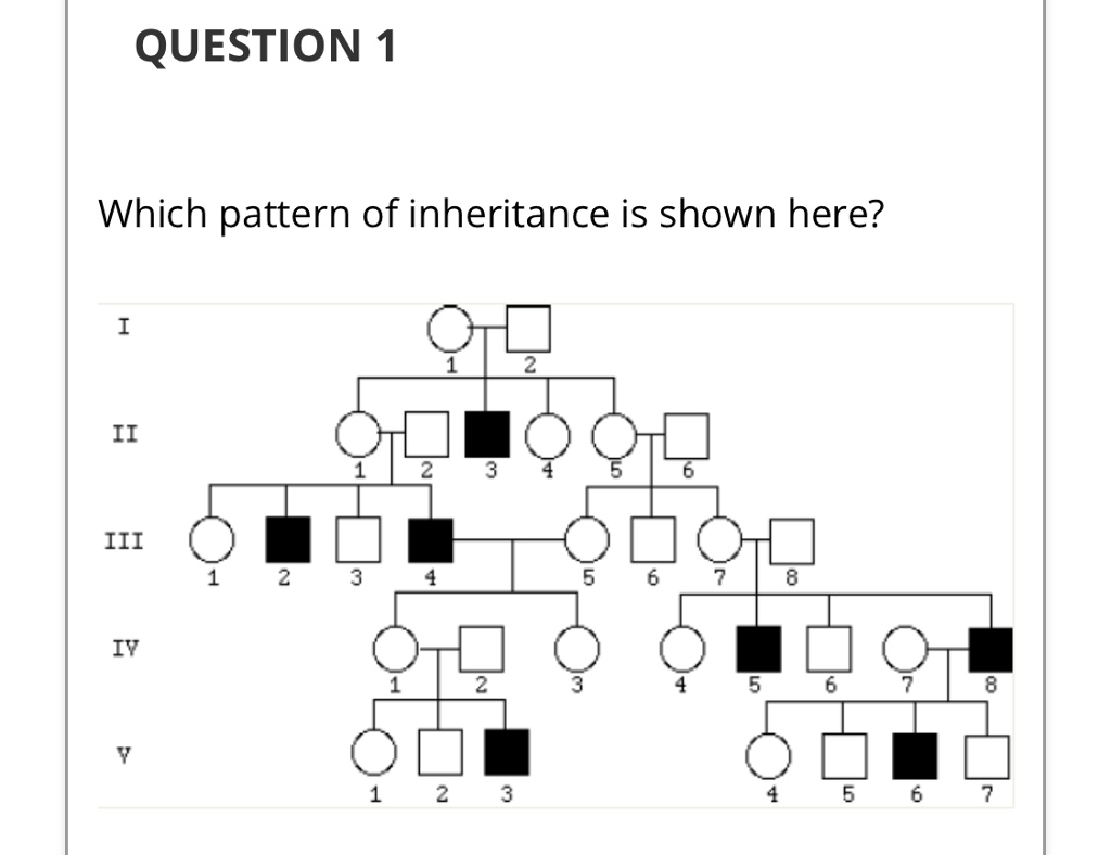 Solved A)Dominant B)Recessive C)I Cannot Tell 2)children Of | Chegg.com