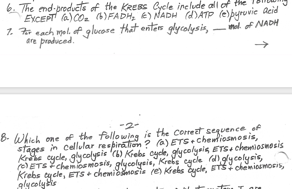 solved-6-the-end-products-of-the-krebs-cycle-inelude-all-of-chegg