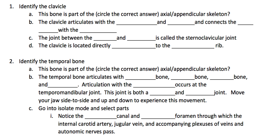 Solved 3. Identify the upper limb a. What is the long bone | Chegg.com