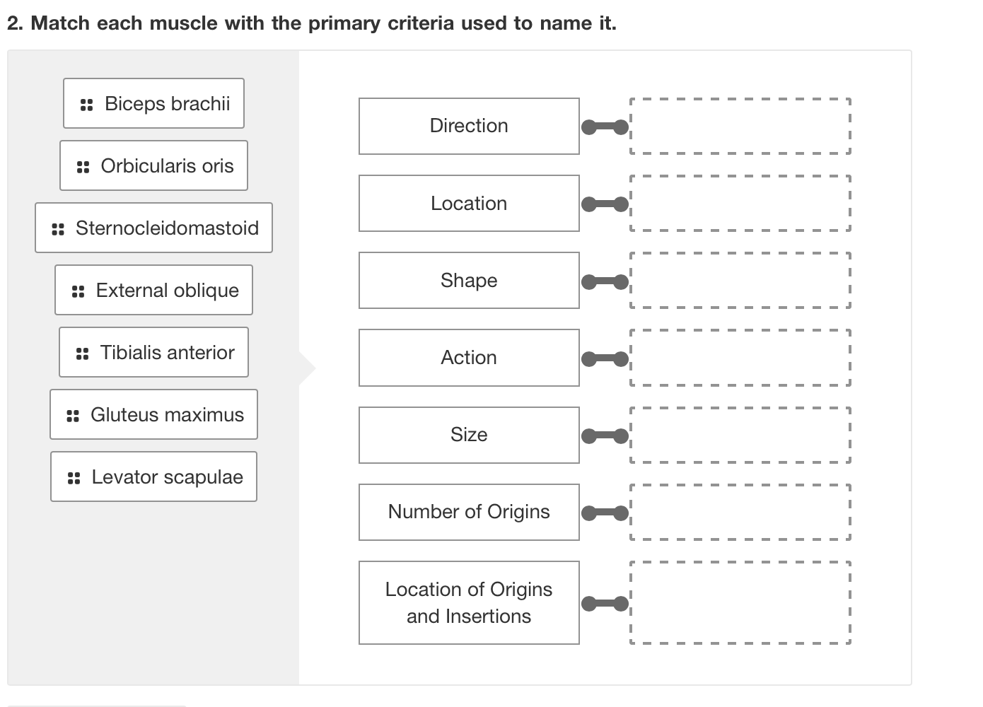 Solved 2. Match each muscle with the primary criteria used Chegg