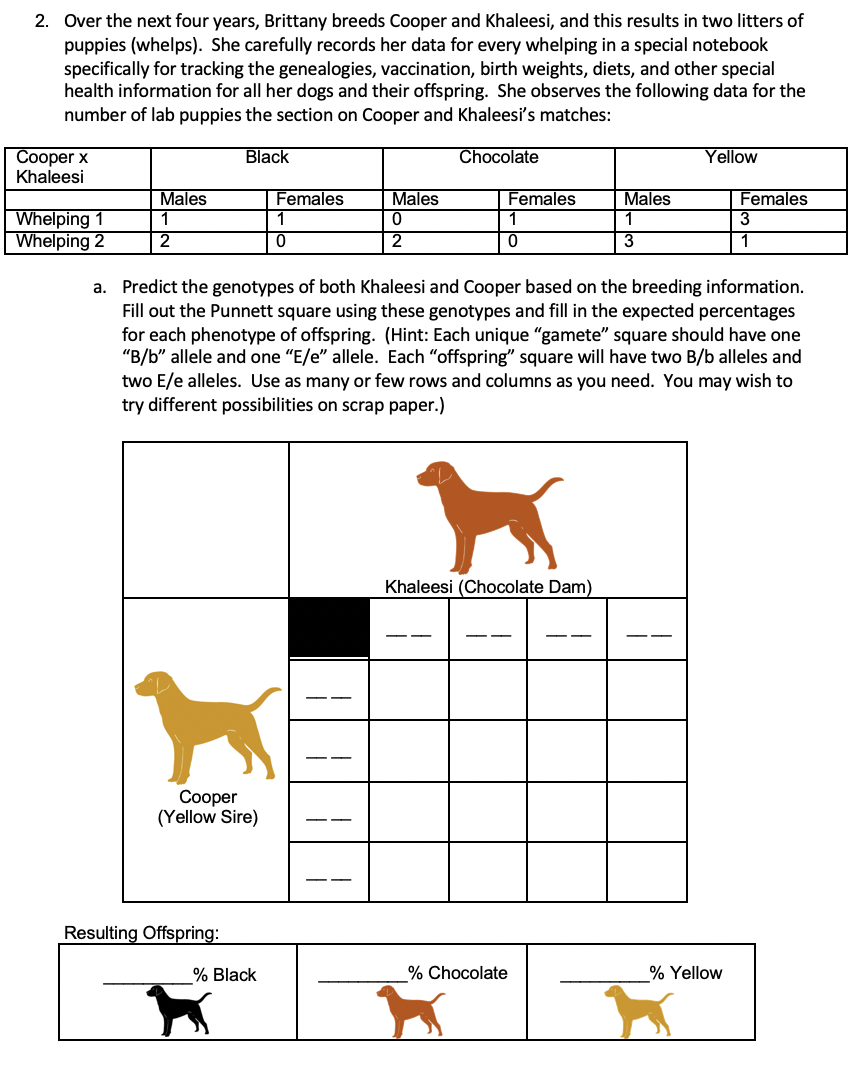 Breeding labs for store color