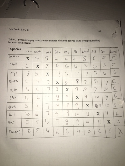 Solved Synapomorphy matrix, did I complete step 2 of the | Chegg.com