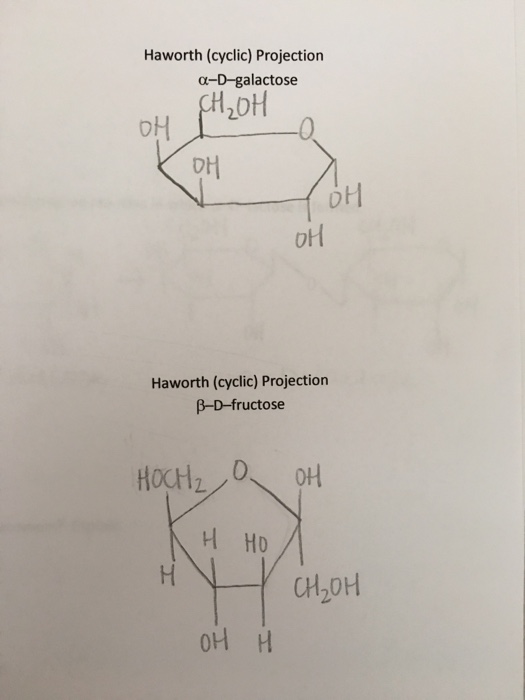 Xylose Haworth Projection