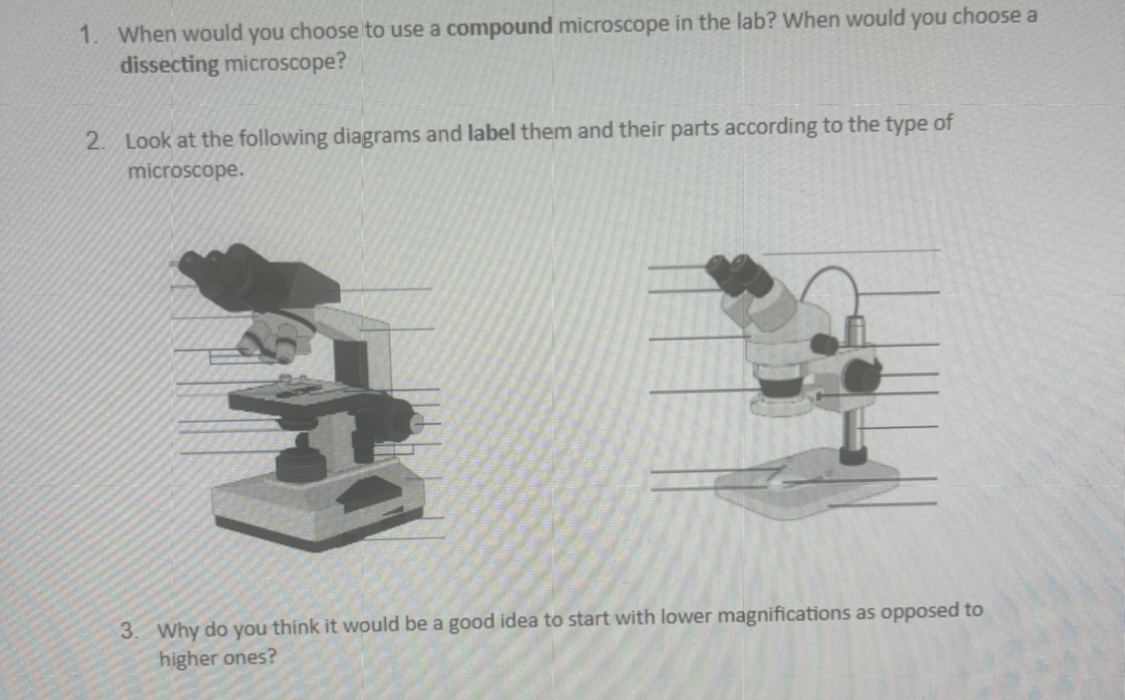 Solved Question | Chegg.com
