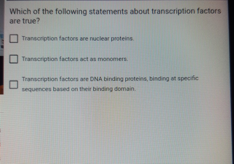Which Of The Following Statements Concerning Transcription Is True