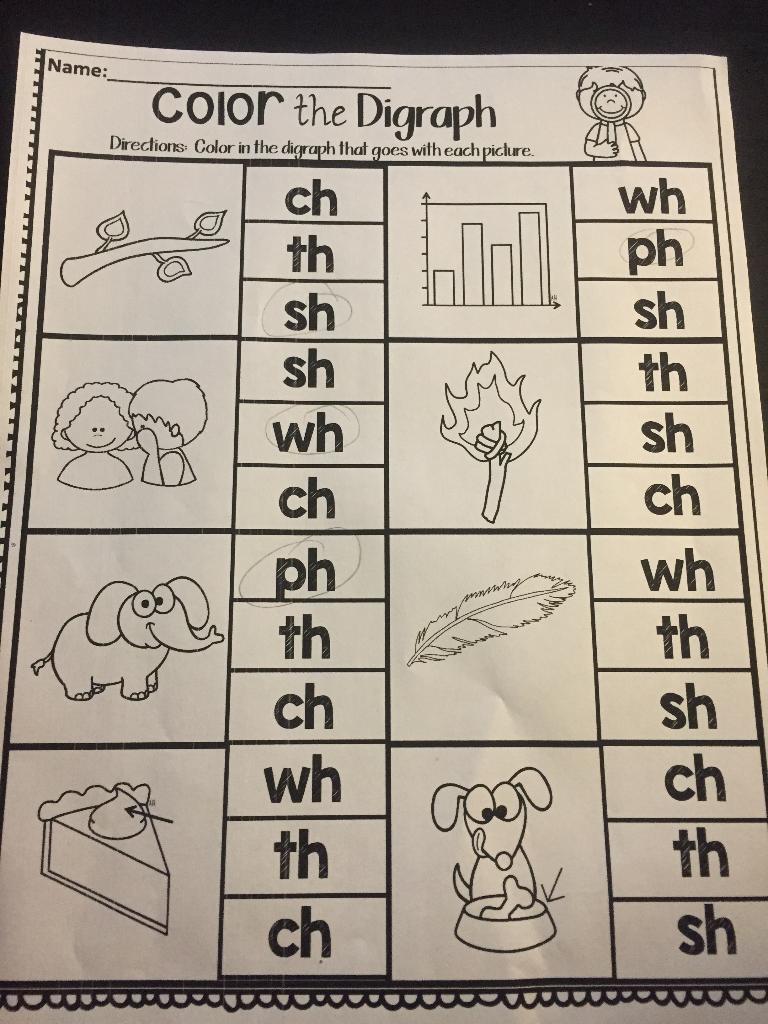 Solved Name: Color the Digraph Directions Color in the | Chegg.com