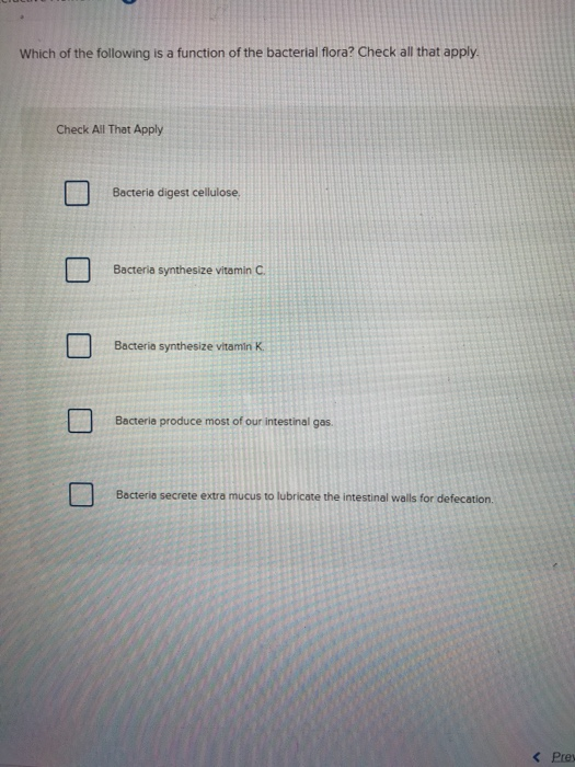 Solved Which of the following is a function of the bacterial | Chegg.com