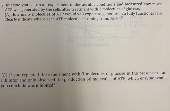 2. Imagine you set up an experiment under aerobic | Chegg.com