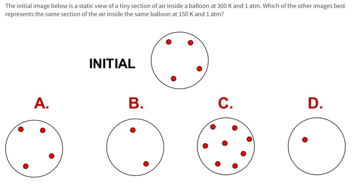 Solved The initial image below is a static view of a tiny | Chegg.com