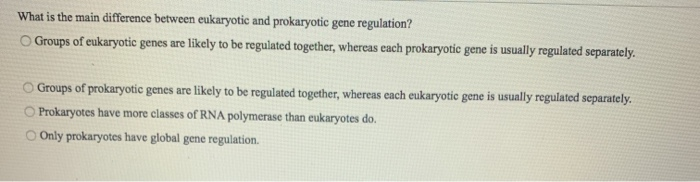 Solved What is the main difference between eukaryotic and | Chegg.com