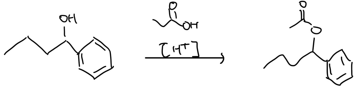 Solved What is the mechanism for the esterification of | Chegg.com