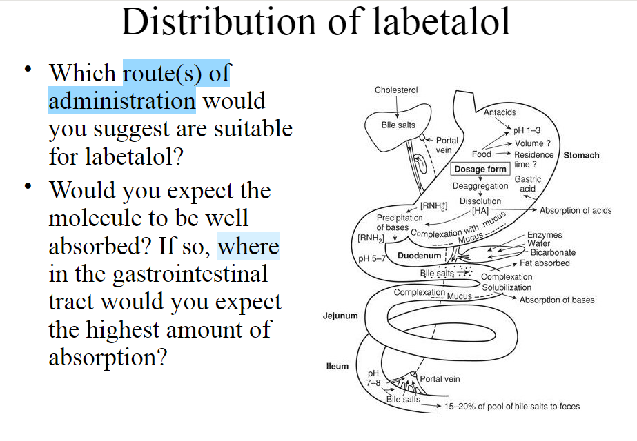 Solved Distribution of labetalol Which route(s) of