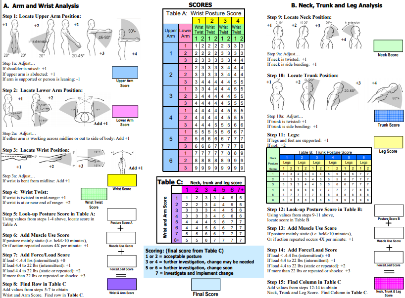 Solved Perform a RULA posture analysis for the subject below | Chegg.com