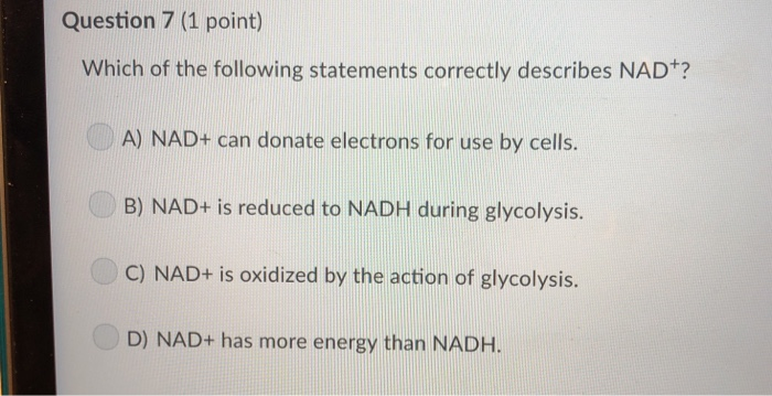 Solved Question 7 (1 point) Which of the following | Chegg.com