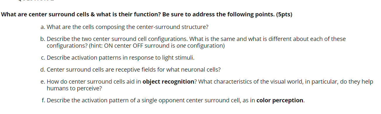 Solved What are center surround cells & what is their | Chegg.com