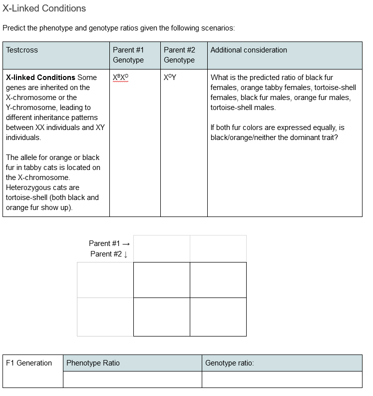 Solved X-Linked Conditions Predict the phenotype and | Chegg.com