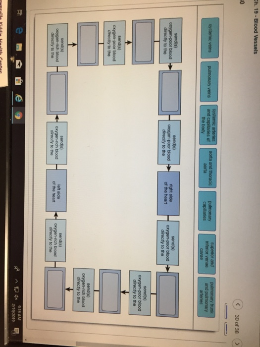 Pulmonary And Systemic Circulation Concept Map Interactive Map