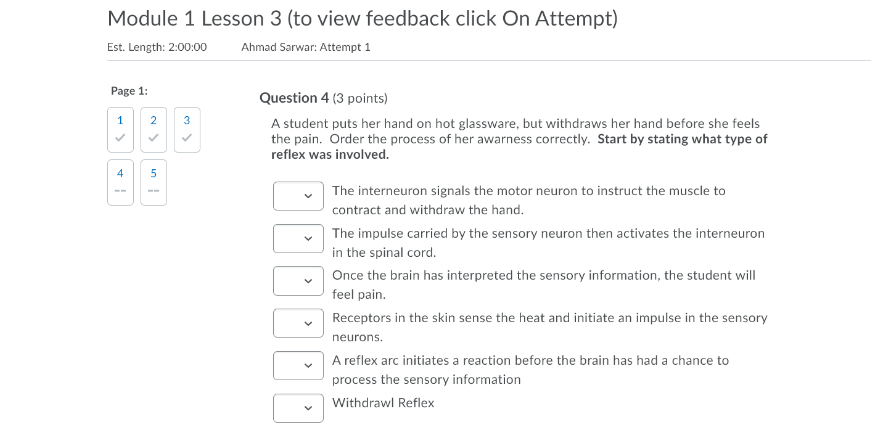 Solved Module 1 Lesson 3 (to view feedback click On Attempt) | Chegg.com