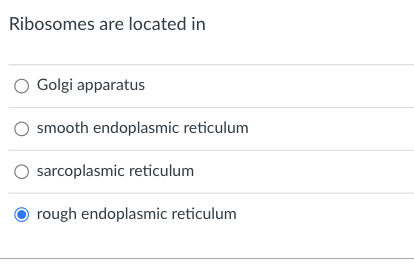 Solved Very long chain fatty acids are oxidized in | Chegg.com